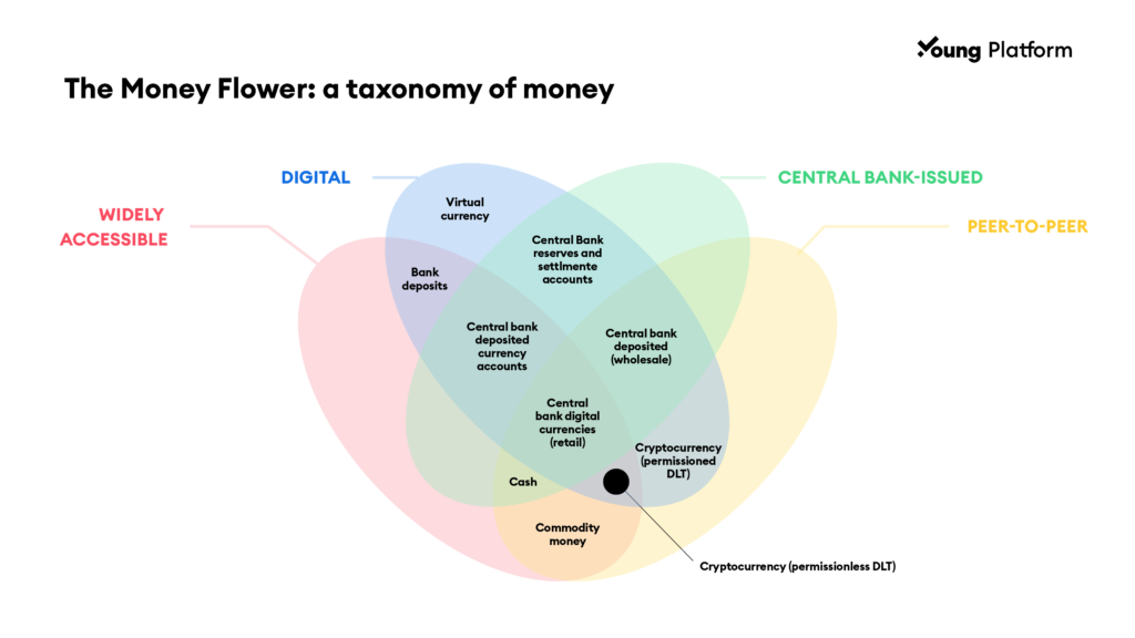 money taxonomy