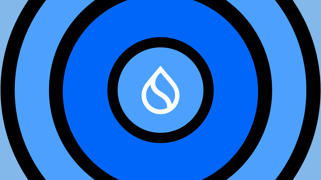 Sui: what it is and how it works