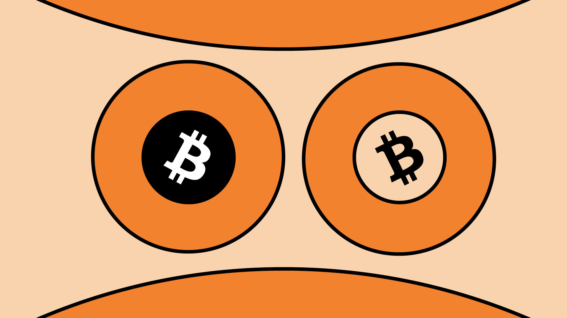 Bitcoin vs Bitcoin cash confronto e differenze Young Platform